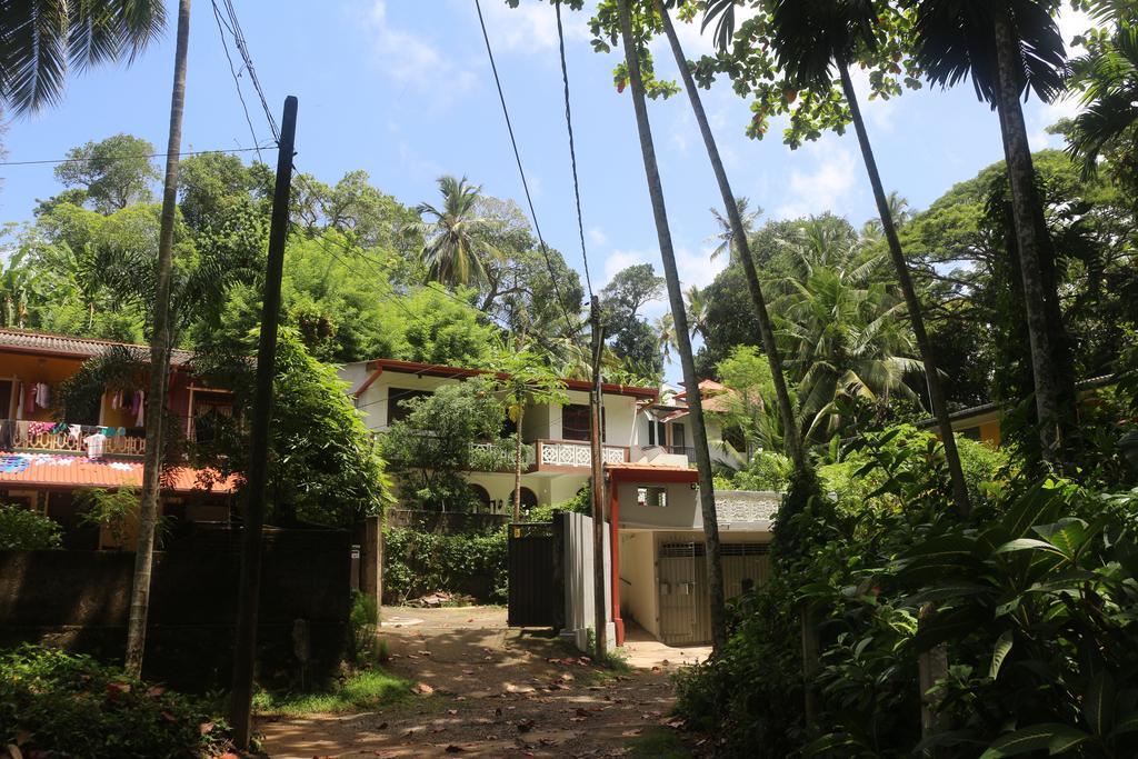 Jungle Guest House Galle Exterior foto